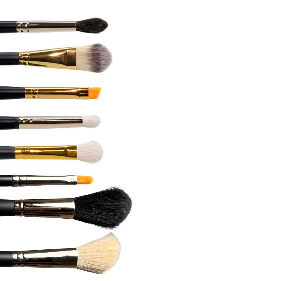 Ten Image Professional - 8 Brushes Set