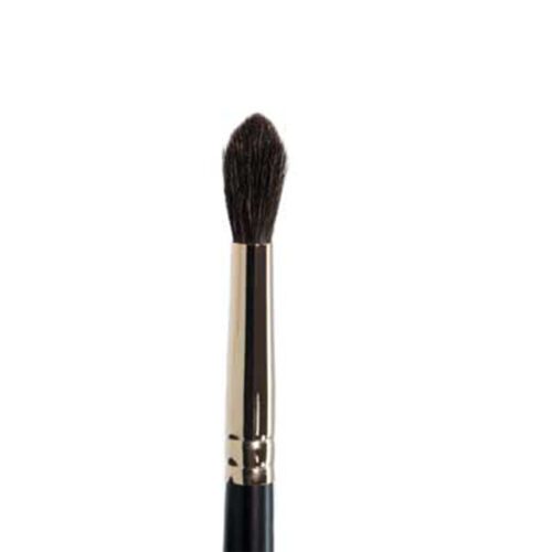 Ten Image Professional Makeup Brush PB-02 Concealer