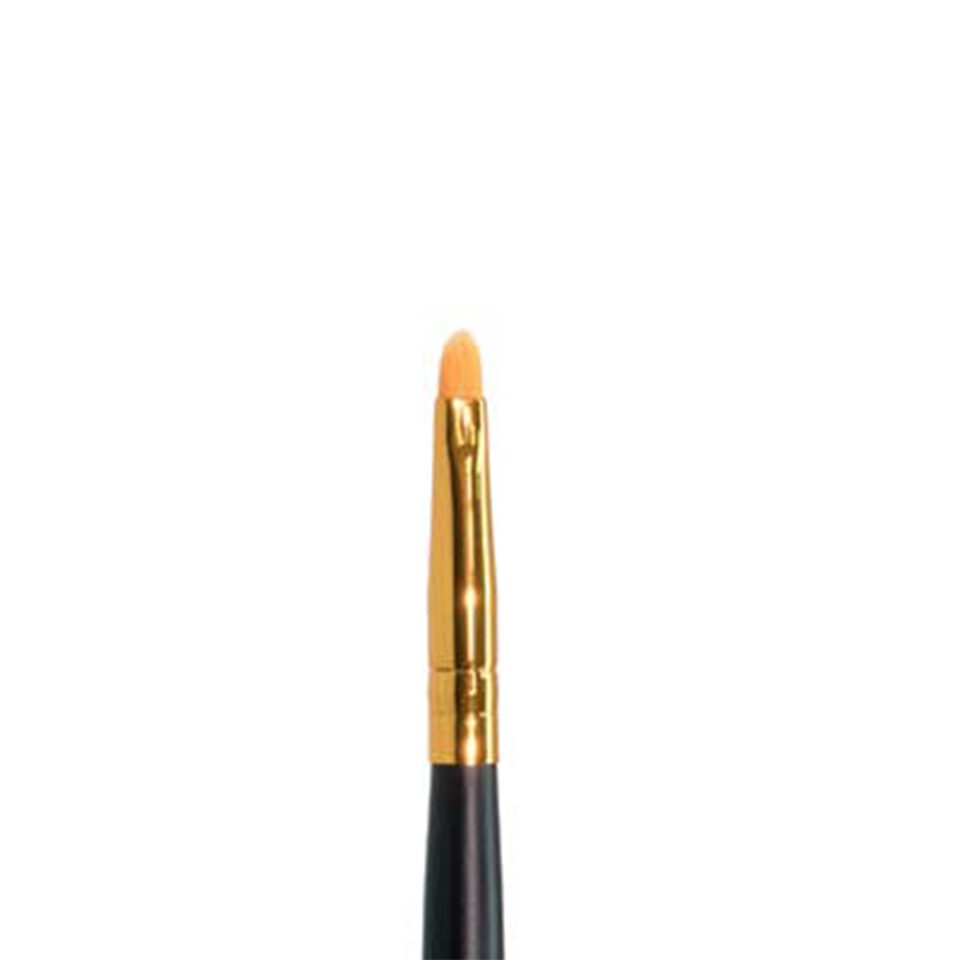 Ten Image Professional Makeup Brush Precision PB-05 Shadows