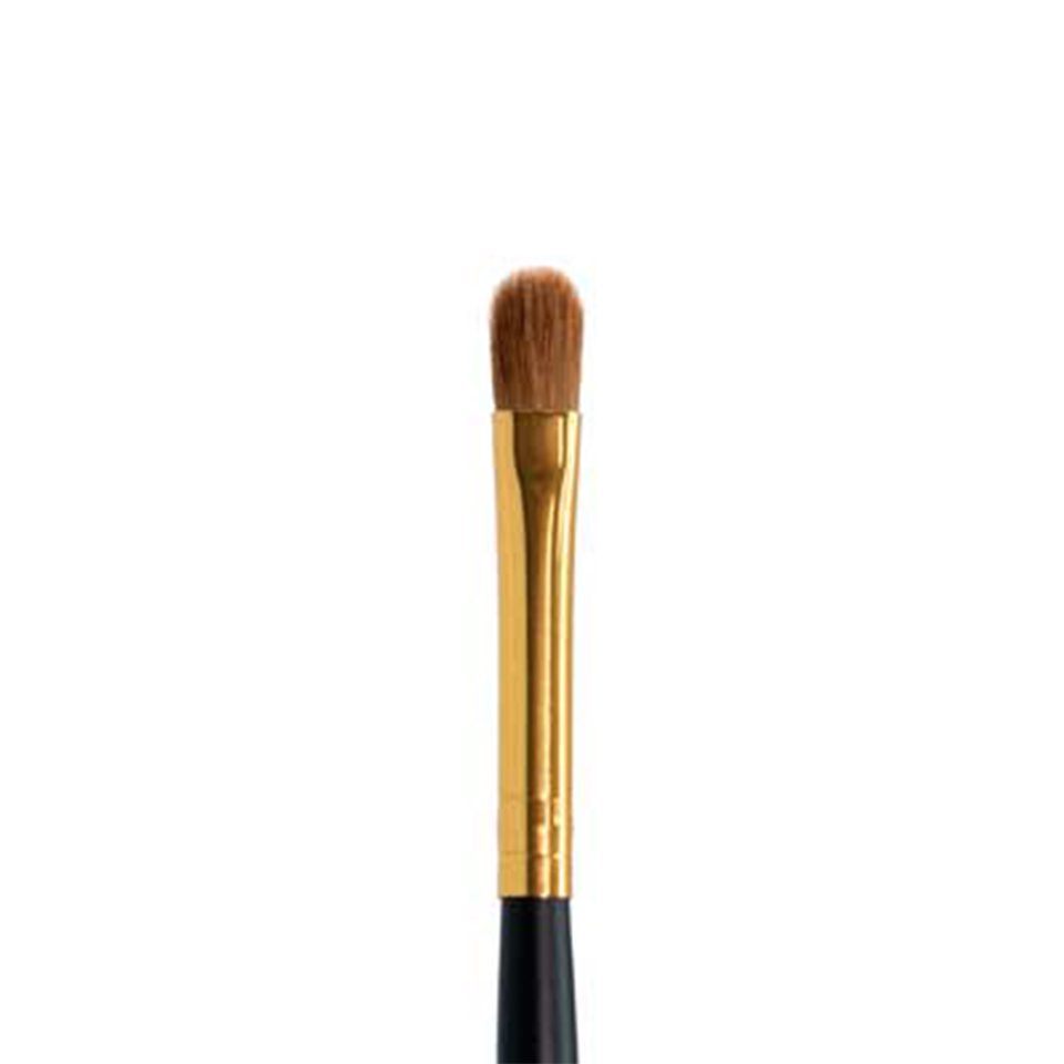 Ten Image Professional Makeup Brush PB-10 Shadows