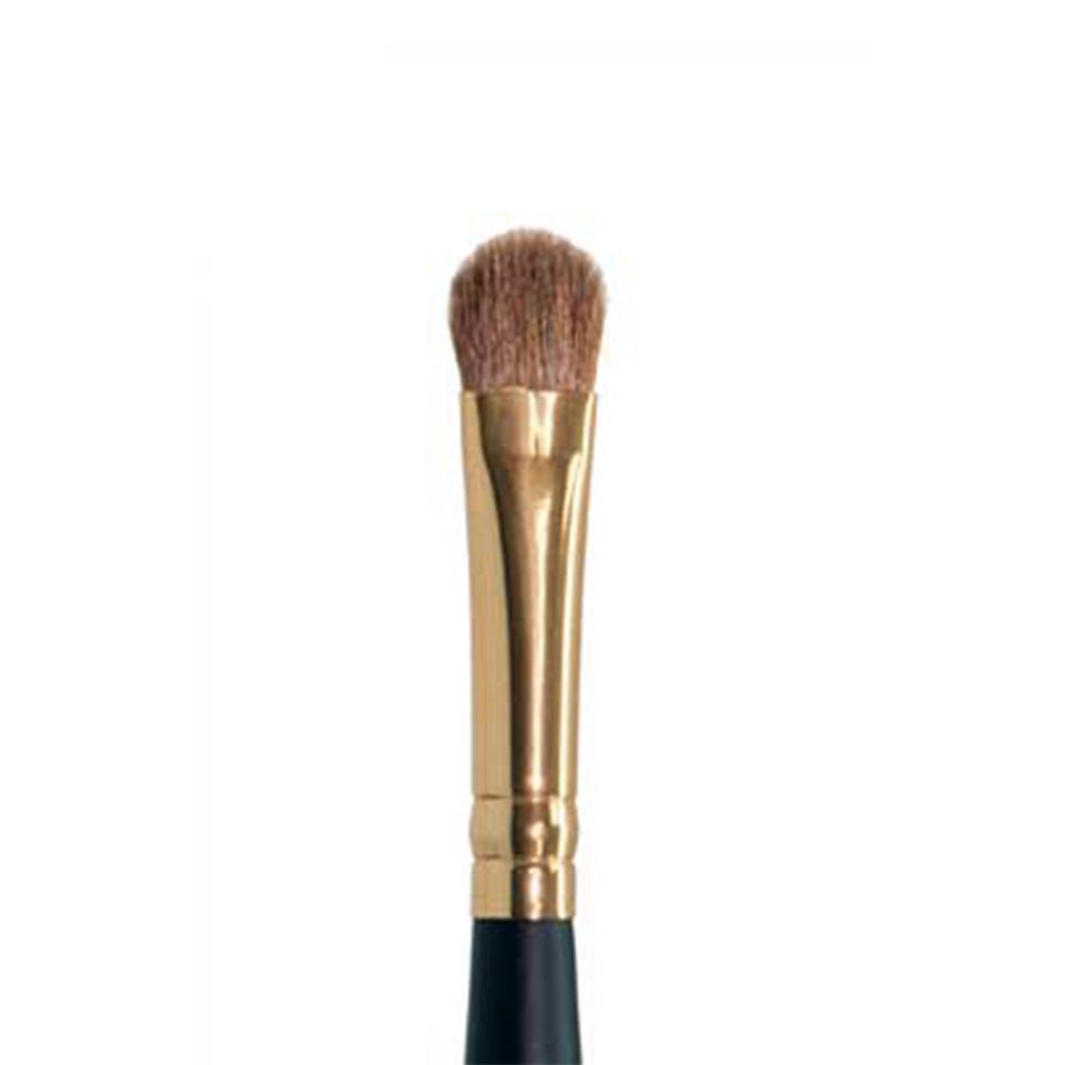 Ten Image Professional Makeup Brush PB-11 Shadows