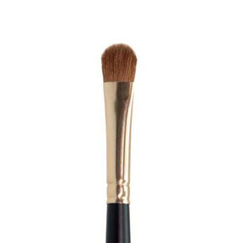 Ten Image Professional Makeup Brush PB-12 Shadows
