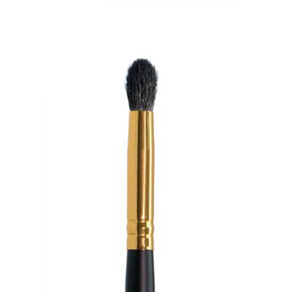 Ten Image Professional Makeup Brush PB-14 Shadows