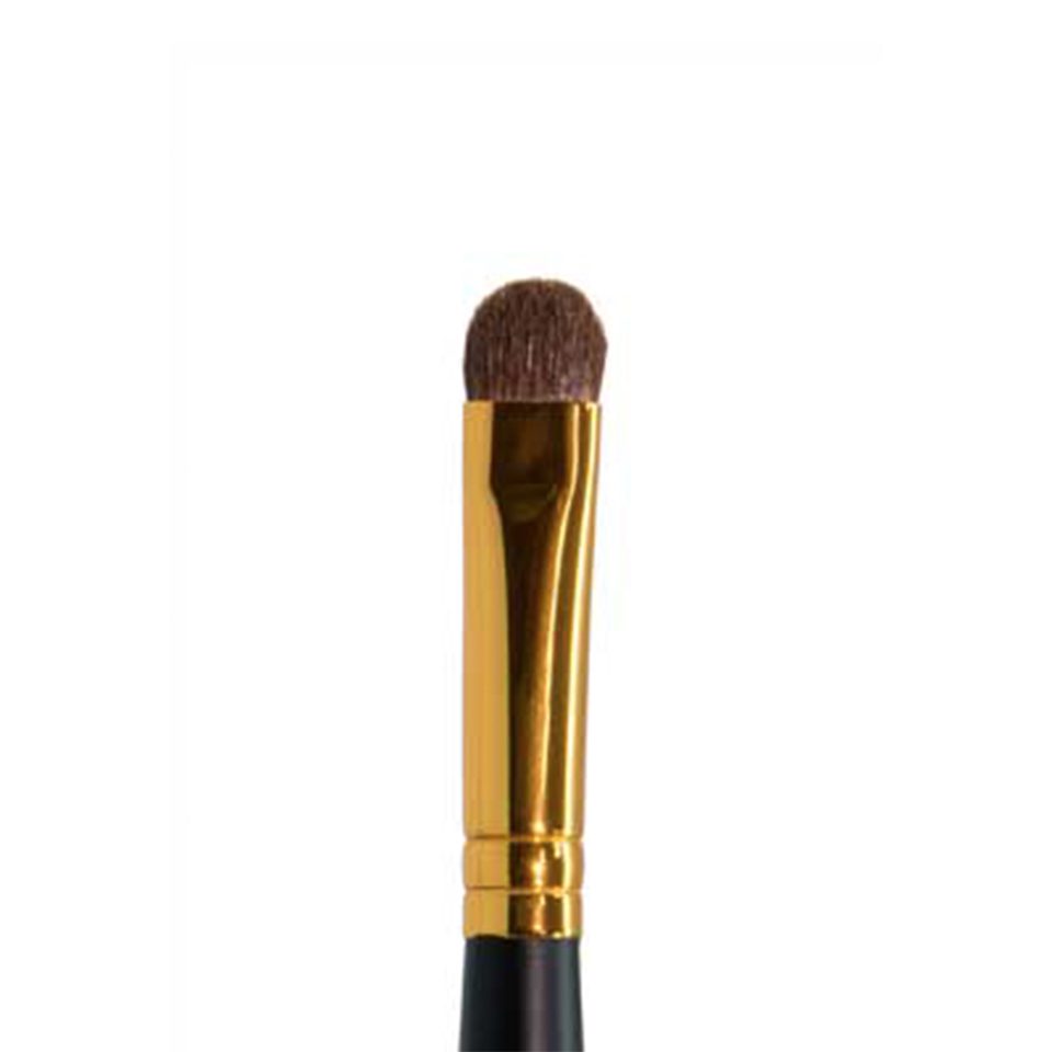Ten Image Professional Makeup Brush PB-15 Shadows