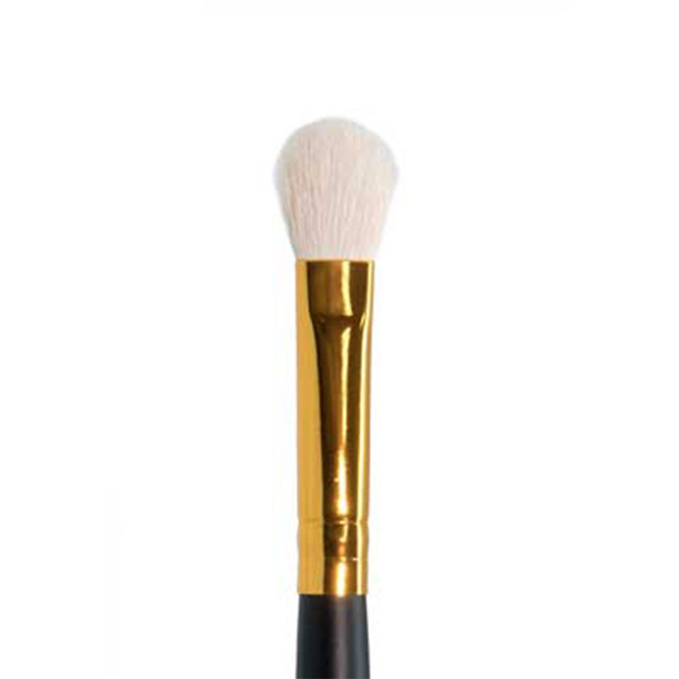 Ten Image Professional Makeup Brush PB-17 Shadows