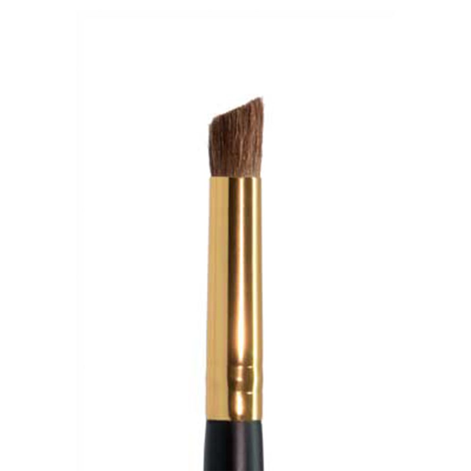 Ten Image Professional Makeup Brush PB-18 Shadows