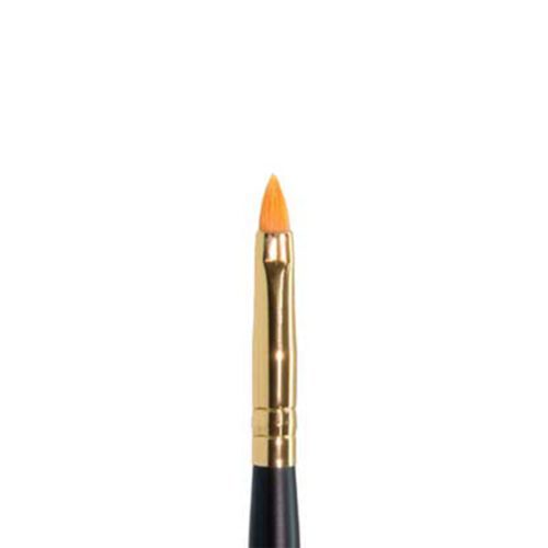 Ten Image Professional Makeup Brush PB-25 Lips