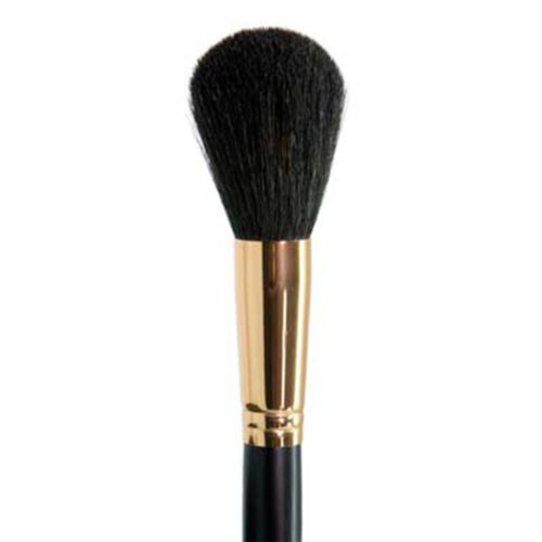 Ten Image Professional Makeup Brush PB-29 Blusher Bronzer Cheeks